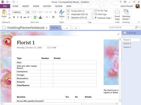 ���� - 10 Recursos y complementos para OneNote 2013