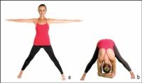 Una colección de imágenes de posturas & amp yoga básicos; serie en un día para dummies