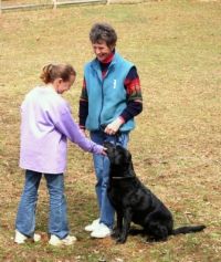 Una colección de imágenes de prueba de buen ciudadano canino en un día para dummies