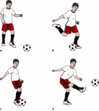 Una colección de imágenes de normas y amplificador de fútbol; posiciones en un día para dummies