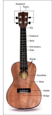 Un ukulele típico.