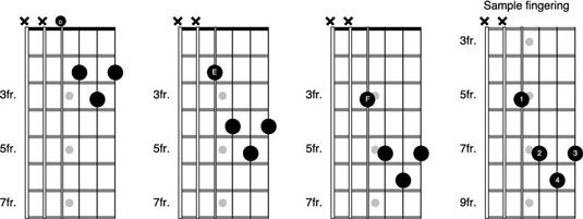 Fundamentos de la forma d en la guitarra