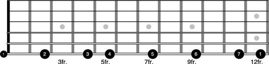 Conceptos básicos de la escala mayor en la guitarra