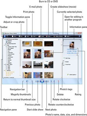 ���� - Examine sus fotos con la galería de ventanas foto