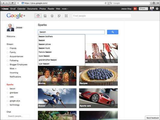 La página de búsqueda de Sparks en Google+.