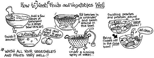 Lavarse las frutas y verduras. [Crédito: Ilustración de Elizabeth Kurtzman]