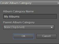 Crear una categoría de álbum en Photoshop Elements 10