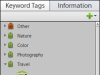 Crear y ver etiquetas de palabras clave en Photoshop Elements 11