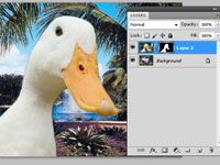 Crear máscaras de capa de Photoshop CS5 selecciones