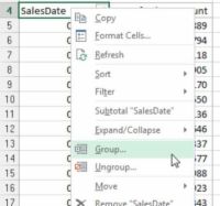 Crear vistas de tabla pivote por mes, trimestre, año para los informes de Excel