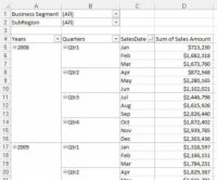 Crear vistas de tabla pivote por mes, trimestre, año para los informes de Excel