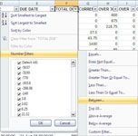 Crear Autofiltros personalizados para los números en Excel 2007