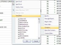 Crear Autofiltros personalizados para el texto en Excel 2007