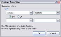 Crear Autofiltros personalizados para el texto en Excel 2007
