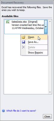 Excel 2007 le pedirá que seleccione la versión del libro para abrir.