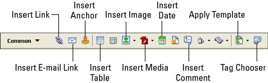 ���� - Conoce a la barra de inserción común Dreamweaver CS3