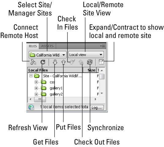 ���� - El panel de archivos de Dreamweaver CS5