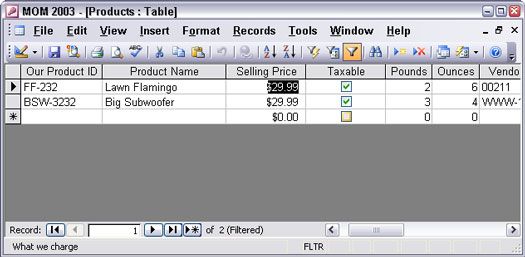 Filtrado de una hoja de datos en Access 2003