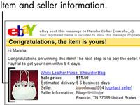 Para las personas mayores: cómo hacer su pago de eBay inmediatamente