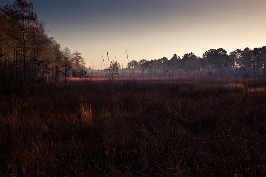 ���� - Ir en un Walkabout foto de la naturaleza