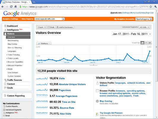 Visión general de usuarios en Google Analytics.