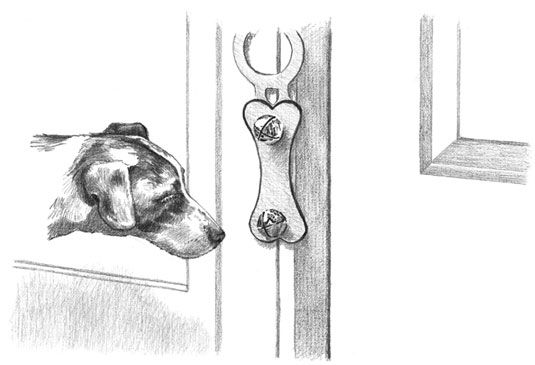 Enseñar a su cachorro a sonar una campana cuando tiene que salir es más fácil de lo que piensas. [Crédito: Ilu