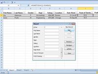 Cómo agregar registros a una tabla de Excel 2010