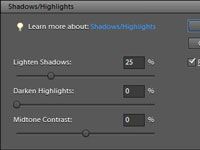 Cómo ajustar la iluminación imagen en Photoshop Elements 9