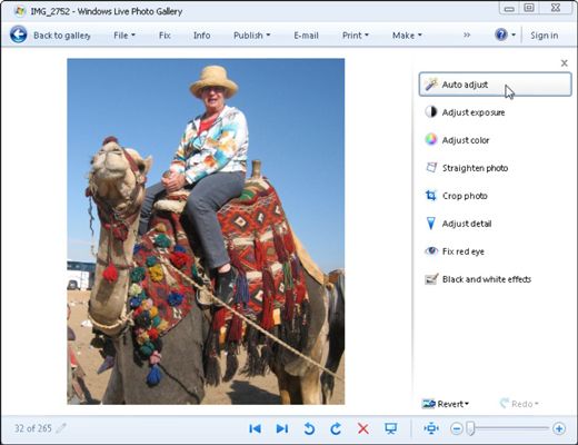 Windows Live Photo Gallery ofrece a sus herramientas de fotos de fijación a lo largo de su lado derecho.