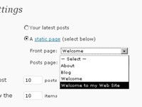 Cómo asignar una página estática como la primera plana en wordpress