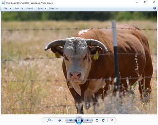 El borde inferior del Visualizador de fotos de Windows ofrece controles para ver sus fotos.