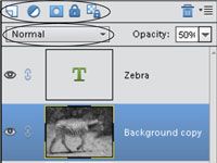 Cómo convertir imágenes a modo de escala de grises en Photoshop Elements 11