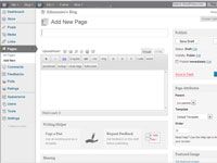 Cómo crear una página de una sola columna con veinte diez tema de wordpress