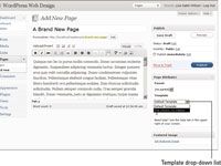 Cómo crear una página de una sola columna con veinte diez tema de wordpress