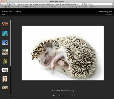 ¿Cómo crear una galería web con tus imágenes CS6 photoshop