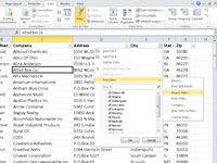 Cómo crear Autofiltros personalizados para el texto en Excel 2010