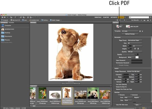 Cómo crear presentaciones pdf desde Photoshop CS6 archivos en puente