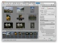 Cómo crear galerías web en photoshop cc