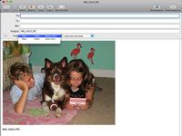 Fotos Cómo enviar por correo electrónico en tu Mac