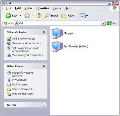 Los equipos de un grupo de trabajo, según lo visto por Windows XP.