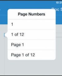Cómo dar formato a un documento en páginas iPad App