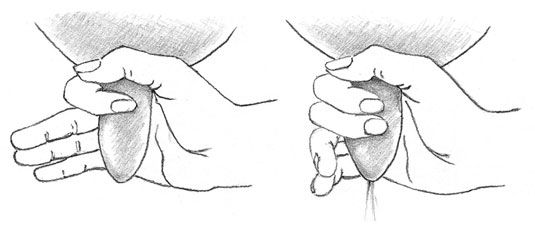 Envuelva el pulgar y el dedo índice alrededor del pezón controlar la leche y luego apretar suavemente hacia fuera.