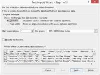 Cómo importar archivos de texto delimitados en Excel 2013
