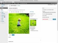 ¿Cómo insertar una imagen desde un PC en un puesto o una página de WordPress