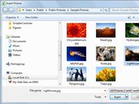 Cómo insertar imágenes desde archivos de gráficos en Excel 2010