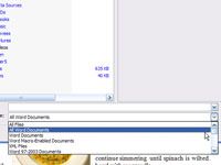 ¿Cómo abrir documentos en otros formatos en Word 2007
