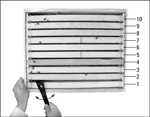 Utilice la herramienta de la colmena para hacer palanca del marco de la pared suelta antes de retirarlo.