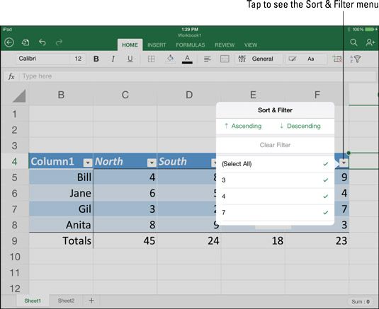 ���� - Cómo presentar los datos en una tabla de Excel en el ipad