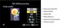 Cómo procesar imágenes RAW en su d5300 nikon