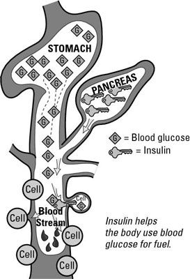 ���� - ¿Cómo regular la insulina y de glucosa en sangre con una dieta de bajo índice glucémico
